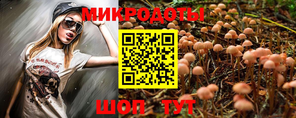 Псилоцибиновые грибы прущие грибы Гусев