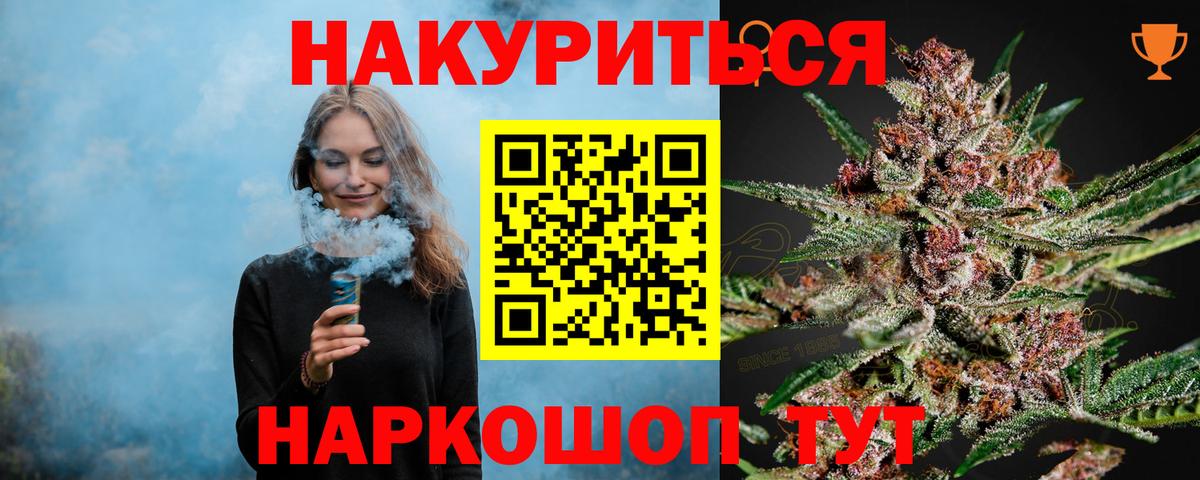 Бошки Шишки планчик Гусев